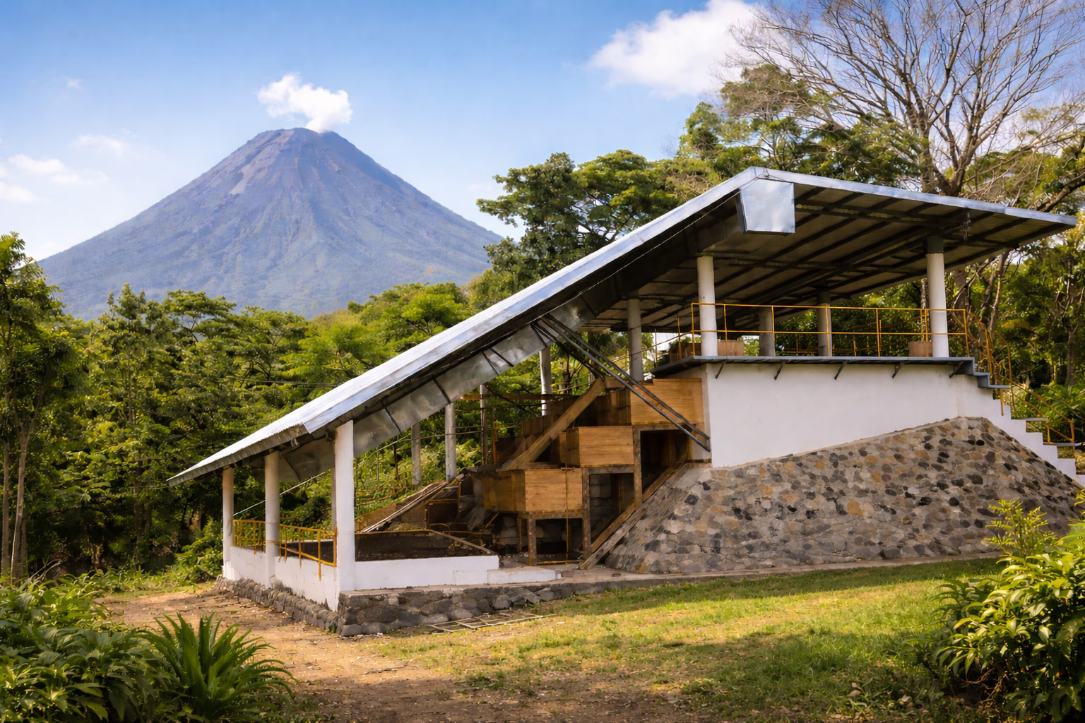 Cacao drying beds