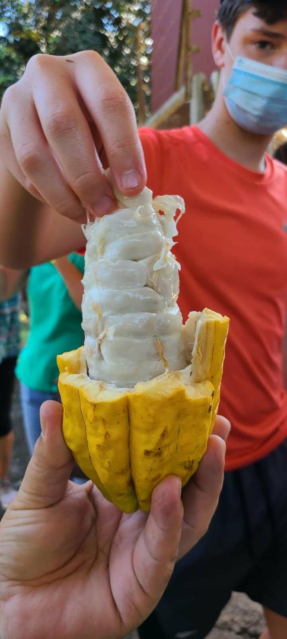 Finca Cuyancua farm landscape